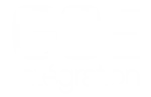 About gse